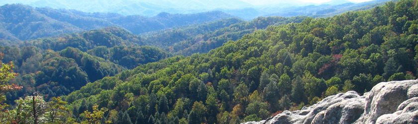 Blanton Forest State Nature Preserve - Kentucky Energy and Environment
